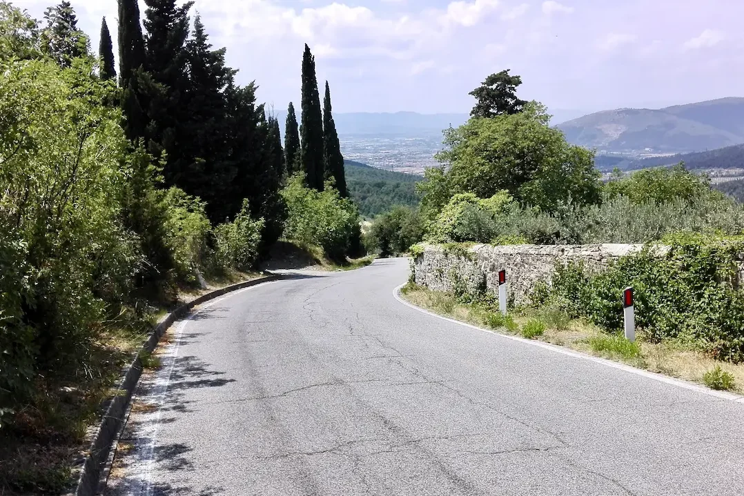 Salita del Castellare a Sesto Fiorentino tra gli ulivi: la strada dell'olio di Morello, ingrediente firma della cucina di Cucino di Te, chef a domicilio tra Varese e Canton Ticino.